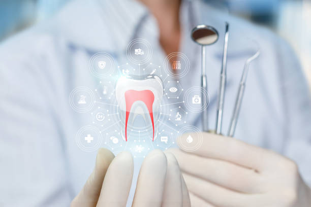 Best Preventive Dentistry  in Newton, IL